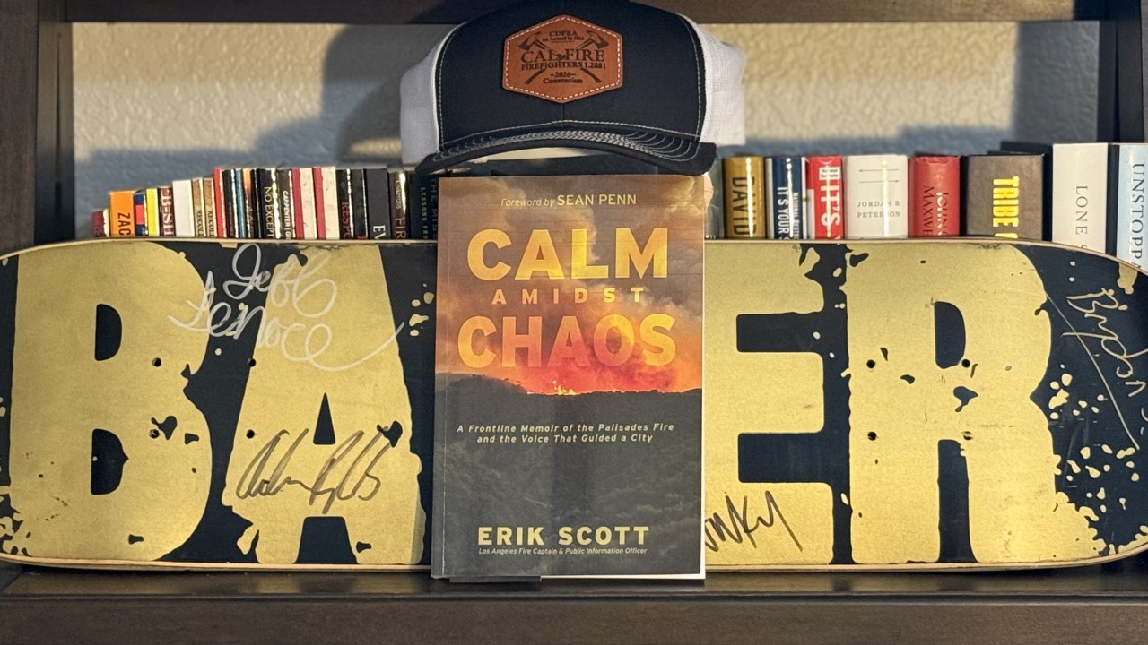 (Image Credits: Author).